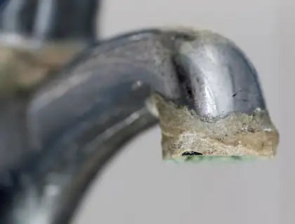 Tap spout with bacteria growth