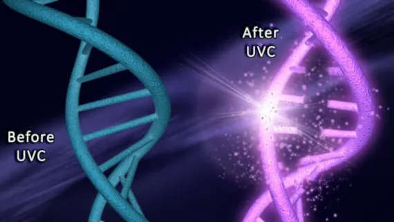 DNA damage before and after exposure to UVC