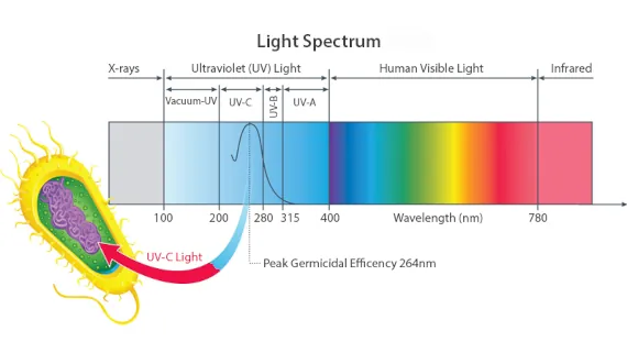 Chart showing light wavelengths and highlighting UV-C for destroying pathogens