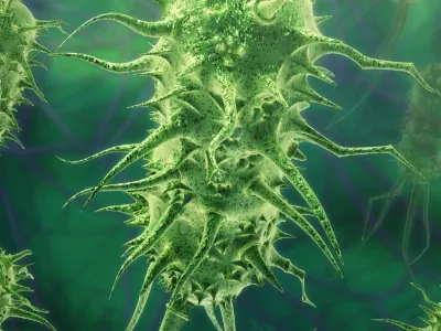 Microorganism under the microscope slide 8