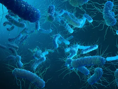 Microorganism under the microscope slide 10