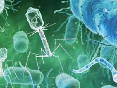 Microorganism under the microscope slide 15