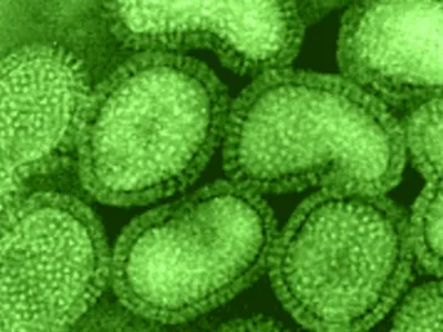 Microorganism under the microscope slide 19